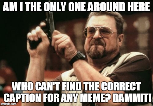 Am I The Only One Around Here | AM I THE ONLY ONE AROUND HERE; WHO CAN'T FIND THE CORRECT CAPTION FOR ANY MEME? DAMMIT! | image tagged in memes,am i the only one around here | made w/ Imgflip meme maker