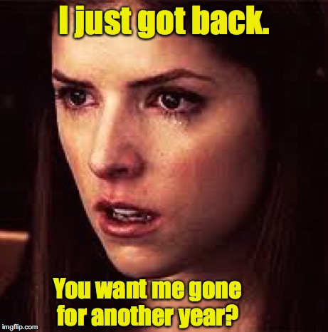 First World Problems - Anna | I just got back. You want me gone for another year? | image tagged in first world problems - anna | made w/ Imgflip meme maker