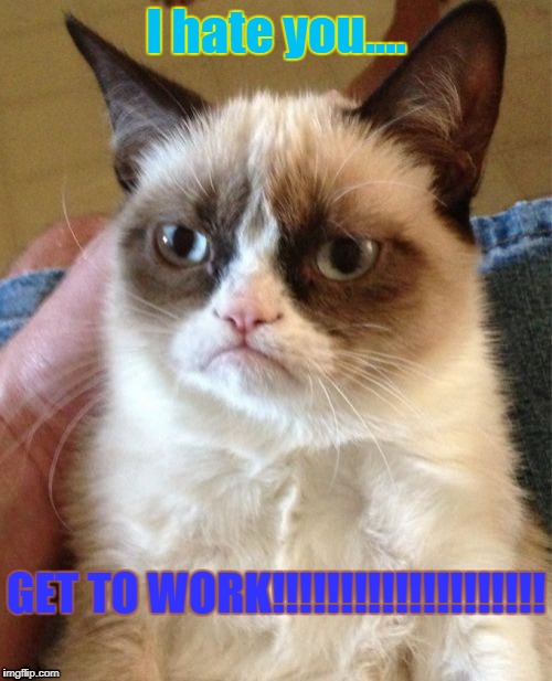 Grumpy Cat | I hate you.... GET TO WORK!!!!!!!!!!!!!!!!!!!! | image tagged in memes,grumpy cat | made w/ Imgflip meme maker