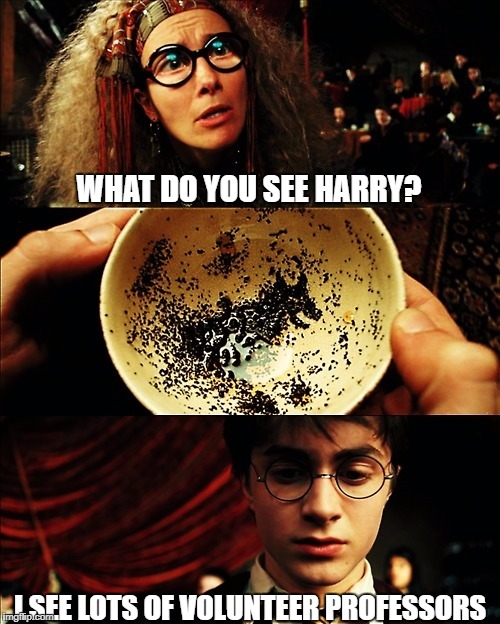 harry potter | WHAT DO YOU SEE HARRY? I SEE LOTS OF VOLUNTEER PROFESSORS | image tagged in harry potter | made w/ Imgflip meme maker