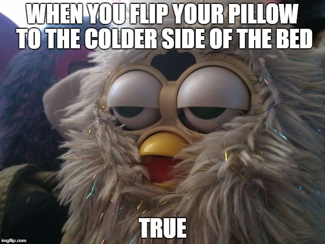 High Furby |  WHEN YOU FLIP YOUR PILLOW TO THE COLDER SIDE OF THE BED; TRUE | image tagged in high furby | made w/ Imgflip meme maker