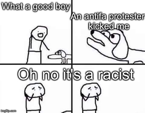 Anti-Antifa dog | An antifa protester kicked me; What a good boy; Oh no it's a racist | image tagged in retarded dog,antifa,racist,memes | made w/ Imgflip meme maker