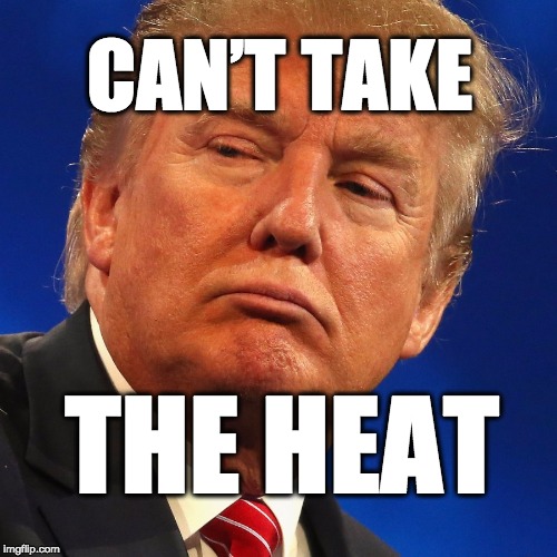 can't take the heat | CAN’T TAKE; THE HEAT | image tagged in phoenixrally,trump,donald trump,maga | made w/ Imgflip meme maker