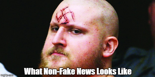 What Non-Fake News Looks Like | made w/ Imgflip meme maker