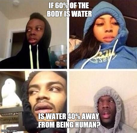 *Hits blunt | IF 60% OF THE BODY IS WATER; IS WATER 40% AWAY FROM BEING HUMAN? | image tagged in hits blunt | made w/ Imgflip meme maker