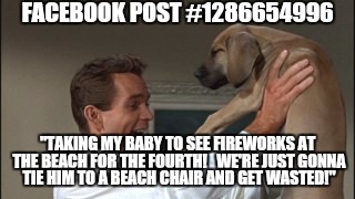 FACEBOOK POST #1286654996 "TAKING MY BABY TO SEE FIREWORKS AT THE BEACH FOR THE FOURTH!   WE'RE JUST GONNA TIE HIM TO A BEACH CHAIR AND GET  | image tagged in brutus pup | made w/ Imgflip meme maker
