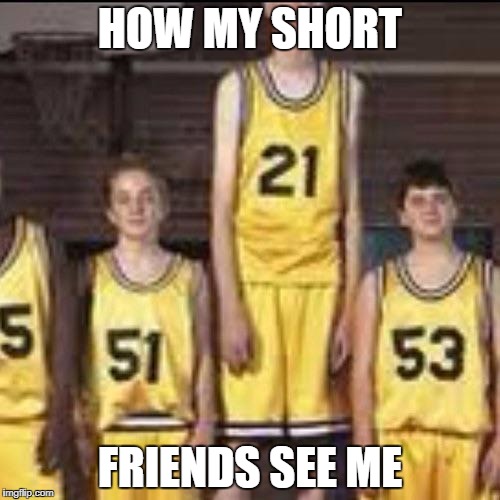 Abnormally tall basketball player | HOW MY SHORT; FRIENDS SEE ME | image tagged in abnormally tall basketball player | made w/ Imgflip meme maker