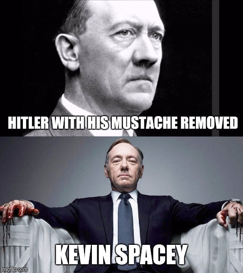 Any Questions?  | HITLER WITH HIS MUSTACHE REMOVED; KEVIN SPACEY | image tagged in kevin spacey,hitler,adolf hitler,memes,house of cards | made w/ Imgflip meme maker