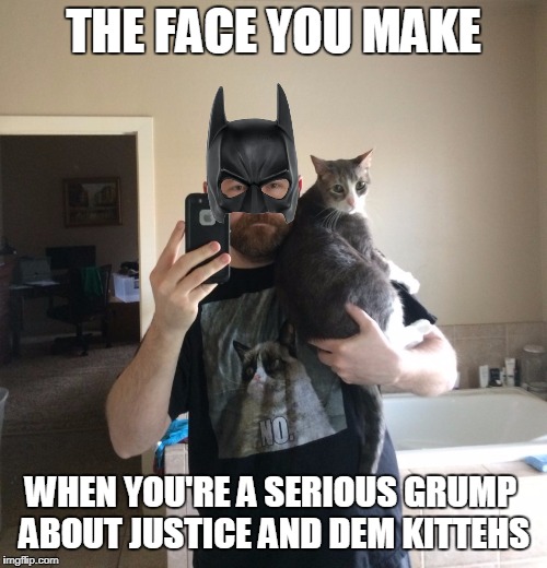 The Face You Make.  Top this Bubbles! | THE FACE YOU MAKE; WHEN YOU'RE A SERIOUS GRUMP ABOUT JUSTICE AND DEM KITTEHS | image tagged in the face you make,grumpy cat,batman,kitteh,selfie,bubbles | made w/ Imgflip meme maker