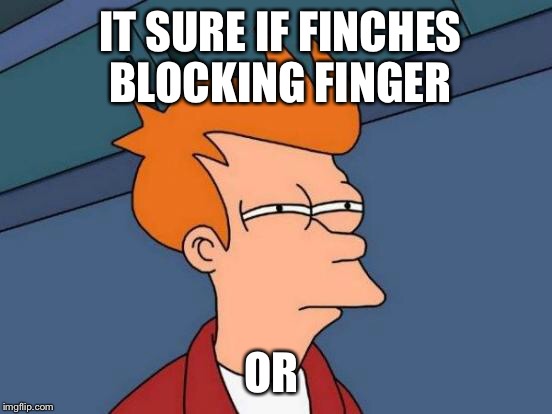 Futurama Fry Meme | IT SURE IF FINCHES BLOCKING FINGER OR | image tagged in memes,futurama fry | made w/ Imgflip meme maker