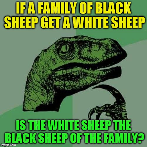 Philosoraptor Meme | IF A FAMILY OF BLACK SHEEP GET A WHITE SHEEP IS THE WHITE SHEEP THE BLACK SHEEP OF THE FAMILY? | image tagged in memes,philosoraptor | made w/ Imgflip meme maker