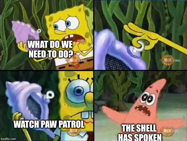 Spongebob | WHAT DO WE NEED TO DO? THE SHELL HAS SPOKEN; WATCH PAW PATROL | image tagged in spongebob | made w/ Imgflip meme maker