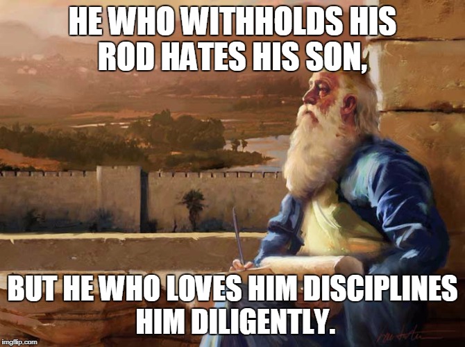 Wise King Solomon | HE WHO WITHHOLDS HIS ROD HATES HIS SON, BUT HE WHO LOVES HIM DISCIPLINES HIM DILIGENTLY. | image tagged in wise king solomon | made w/ Imgflip meme maker