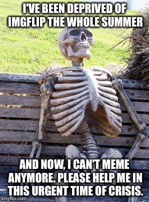 MEME CRISIS! EVERYONE EVACUATE THE AREA!! Actually please don't I need your help. | I'VE BEEN DEPRIVED OF IMGFLIP THE WHOLE SUMMER; AND NOW, I CAN'T MEME ANYMORE. PLEASE HELP ME IN THIS URGENT TIME OF CRISIS. | image tagged in memes,waiting skeleton | made w/ Imgflip meme maker