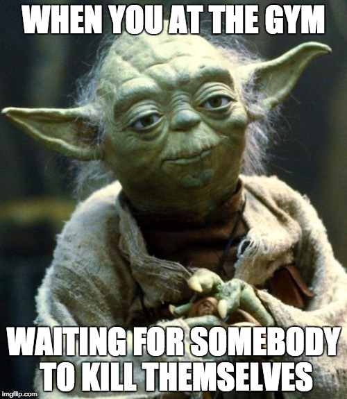 Star Wars Yoda Meme | WHEN YOU AT THE GYM; WAITING FOR SOMEBODY TO KILL THEMSELVES | image tagged in memes,star wars yoda | made w/ Imgflip meme maker