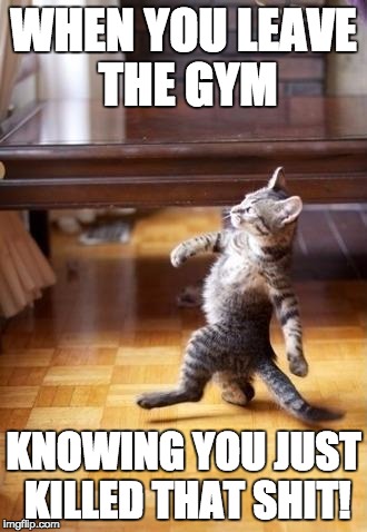 Cool Cat Stroll Meme | WHEN YOU LEAVE THE GYM; KNOWING YOU JUST KILLED THAT SHIT! | image tagged in memes,cool cat stroll | made w/ Imgflip meme maker