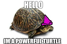 the super turtle | HELLO; IM A POWERFUL TURTLE | image tagged in turtle | made w/ Imgflip meme maker