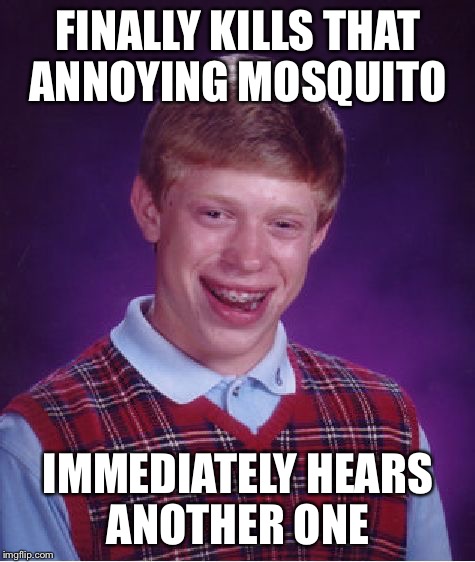 Bad Luck Brian | FINALLY KILLS THAT ANNOYING MOSQUITO; IMMEDIATELY HEARS ANOTHER ONE | image tagged in memes,bad luck brian | made w/ Imgflip meme maker