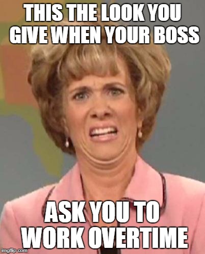 Disgusted Kristin Wiig | THIS THE LOOK YOU GIVE WHEN YOUR BOSS; ASK YOU TO WORK OVERTIME | image tagged in disgusted kristin wiig | made w/ Imgflip meme maker