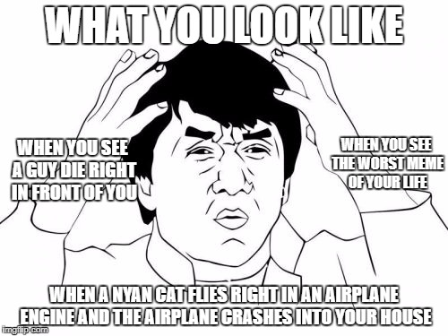 Jackie Chan WTF Meme | WHAT YOU LOOK LIKE; WHEN YOU SEE THE WORST MEME OF YOUR LIFE; WHEN YOU SEE A GUY DIE RIGHT IN FRONT OF YOU; WHEN A NYAN CAT FLIES RIGHT IN AN AIRPLANE ENGINE AND THE AIRPLANE CRASHES INTO YOUR HOUSE | image tagged in memes,jackie chan wtf | made w/ Imgflip meme maker