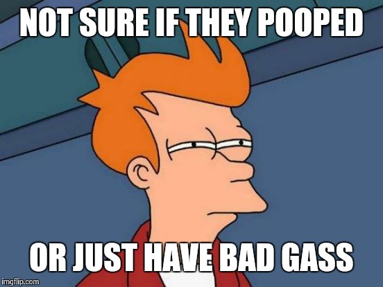 Futurama Fry Meme | NOT SURE IF THEY POOPED; OR JUST HAVE BAD GASS | image tagged in memes,futurama fry | made w/ Imgflip meme maker