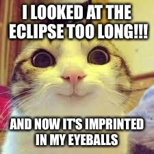 potatos and catshi crazy | I LOOKED AT THE ECLIPSE TOO LONG!!! AND NOW IT'S IMPRINTED IN MY EYEBALLS | image tagged in potatos and catshi crazy | made w/ Imgflip meme maker