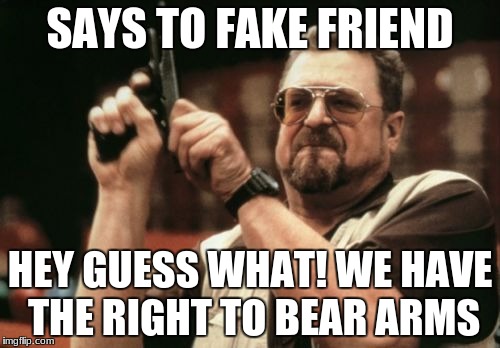 Am I The Only One Around Here Meme | SAYS TO FAKE FRIEND; HEY GUESS WHAT! WE HAVE THE RIGHT TO BEAR ARMS | image tagged in memes,am i the only one around here | made w/ Imgflip meme maker