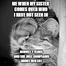 frustrated cat | ME WHEN MY SISTER COMES OVER WHO I HAVE NOT SEEN IN; ALMOST 2 YEARS AND SHE JUST COMPLAINS ABOUT HER LIFE | image tagged in cat,frustrated,sister | made w/ Imgflip meme maker