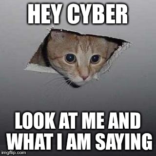 Ceiling Cat Meme | HEY CYBER; LOOK AT ME AND WHAT I AM SAYING | image tagged in memes,ceiling cat | made w/ Imgflip meme maker