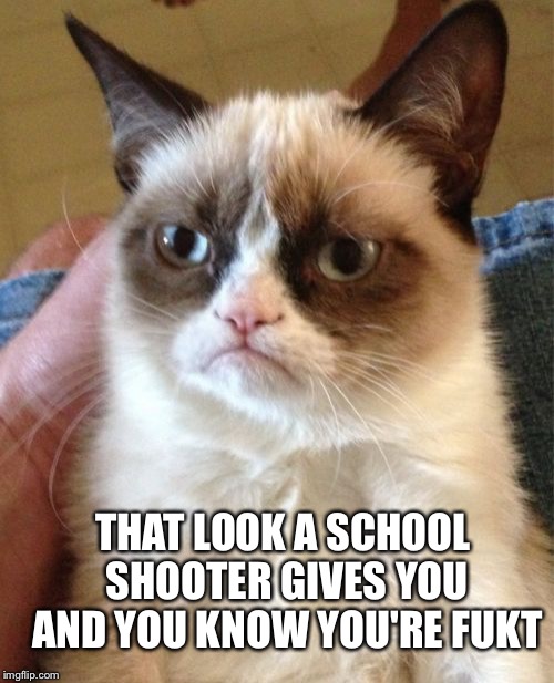 Grumpy Cat Meme | THAT LOOK A SCHOOL SHOOTER GIVES YOU AND YOU KNOW YOU'RE FUKT | image tagged in memes,grumpy cat | made w/ Imgflip meme maker