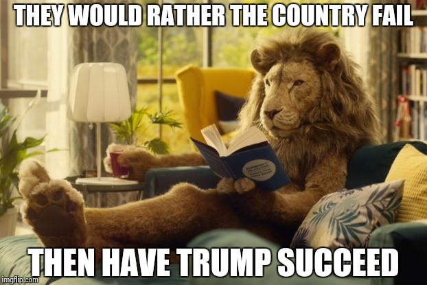Lion relaxing | THEY WOULD RATHER THE COUNTRY FAIL THEN HAVE TRUMP SUCCEED | image tagged in lion relaxing | made w/ Imgflip meme maker