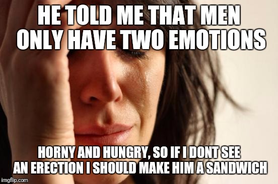 First World Problems | HE TOLD ME THAT MEN ONLY HAVE TWO EMOTIONS; HORNY AND HUNGRY,
SO IF I DONT SEE AN ERECTION I SHOULD MAKE HIM A SANDWICH | image tagged in memes,first world problems | made w/ Imgflip meme maker