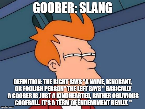 Futurama Fry Meme | GOOBER: SLANG; DEFINITION: THE RIGHT SAYS "A NAIVE, IGNORANT, OR FOOLISH PERSON" THE LEFT SAYS " BASICALLY A GOOBER IS JUST A KINDHEARTED, RATHER OBLIVIOUS GOOFBALL. IT'S A TERM OF ENDEARMENT REALLY. " | image tagged in memes,futurama fry | made w/ Imgflip meme maker