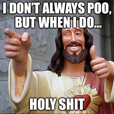 Buddy Christ | I DON’T ALWAYS POO, BUT WHEN I DO... HOLY SHIT | image tagged in memes,buddy christ | made w/ Imgflip meme maker