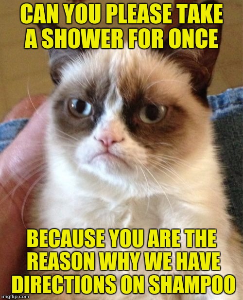 Grumpy Cat Meme Imgflip