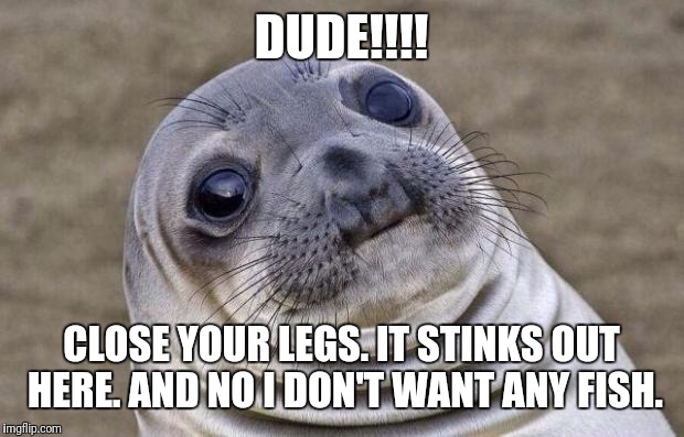 Awkward Moment Sealion Meme | DUDE!!!! CLOSE YOUR LEGS. IT STINKS OUT HERE. AND NO I DON'T WANT ANY FISH. | image tagged in memes,awkward moment sealion | made w/ Imgflip meme maker