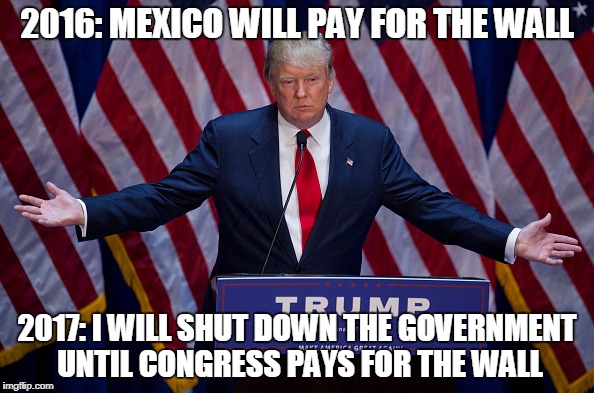 Donald Trump | 2016: MEXICO WILL PAY FOR THE WALL; 2017: I WILL SHUT DOWN THE GOVERNMENT UNTIL CONGRESS PAYS FOR THE WALL | image tagged in donald trump | made w/ Imgflip meme maker