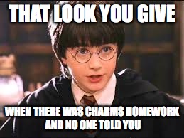 I hate homework | THAT LOOK YOU GIVE; WHEN THERE WAS CHARMS HOMEWORK AND NO ONE TOLD YOU | image tagged in memes,homework,harry potter | made w/ Imgflip meme maker