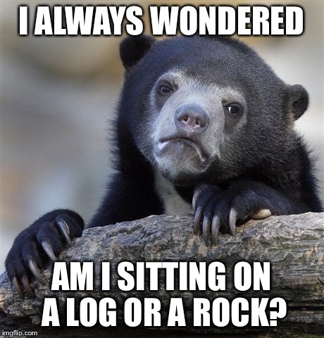 Confession Bear Meme | I ALWAYS WONDERED; AM I SITTING ON A LOG OR A ROCK? | image tagged in memes,confession bear | made w/ Imgflip meme maker