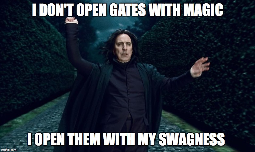 Swag | I DON'T OPEN GATES WITH MAGIC; I OPEN THEM WITH MY SWAGNESS | image tagged in memes,harry potter meme,harry potter,snape | made w/ Imgflip meme maker