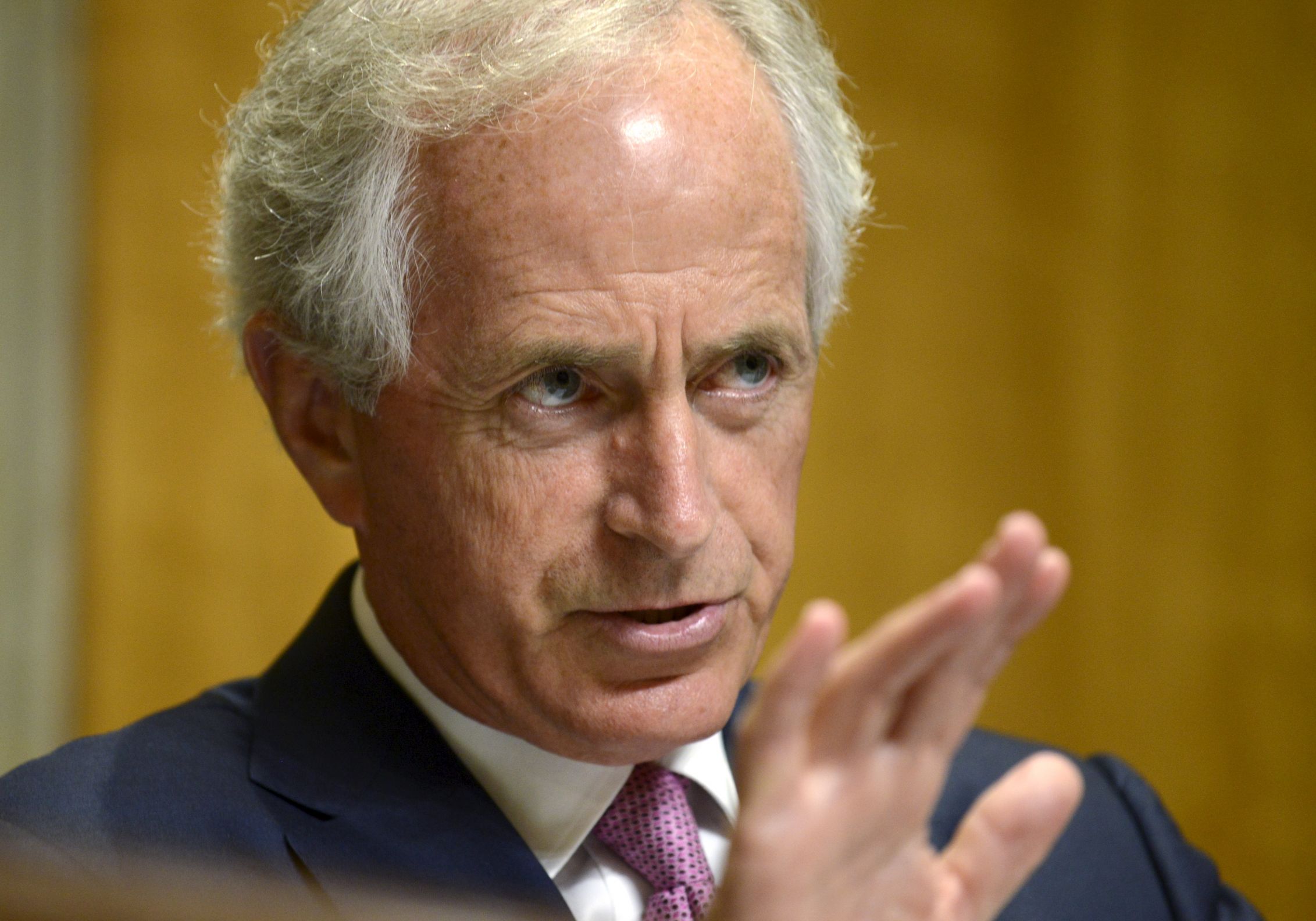 Bob Corker Blank Meme Template