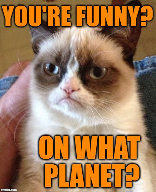 Grumpy Cat Meme | YOU'RE FUNNY? ON WHAT PLANET? | image tagged in memes,grumpy cat | made w/ Imgflip meme maker