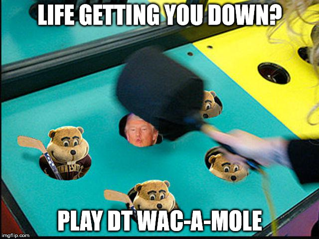 Trump Whack-A-Mole | LIFE GETTING YOU DOWN? PLAY DT WAC-A-MOLE | image tagged in trump whack-a-mole | made w/ Imgflip meme maker