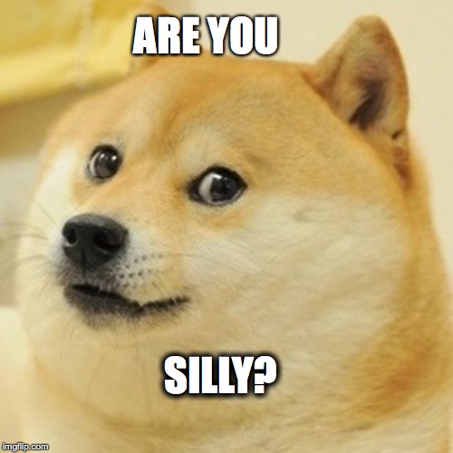 Doge | ARE YOU; SILLY? | image tagged in memes,doge | made w/ Imgflip meme maker