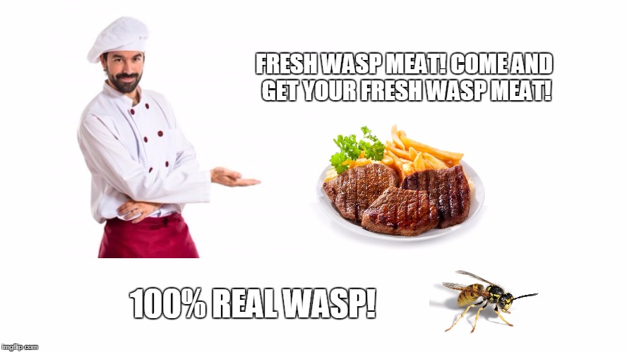 Fresh MEAT!! | FRESH WASP MEAT! COME AND GET YOUR FRESH WASP MEAT! 100% REAL WASP! | image tagged in wasp | made w/ Imgflip meme maker