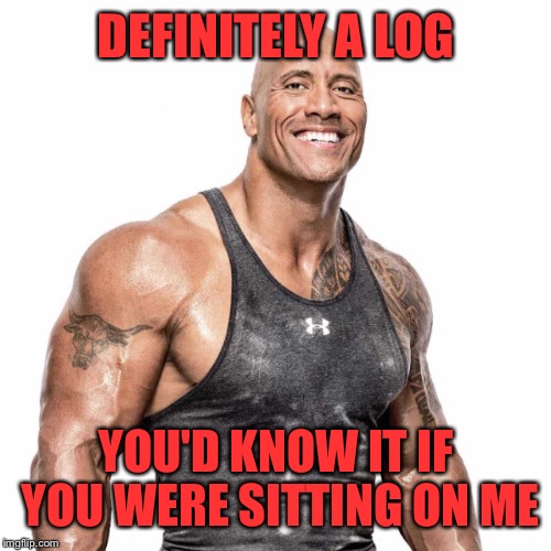 DEFINITELY A LOG YOU'D KNOW IT IF YOU WERE SITTING ON ME | made w/ Imgflip meme maker