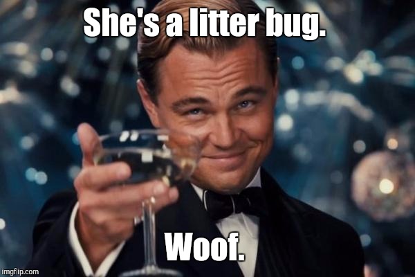 Leonardo Dicaprio Cheers Meme | She's a litter bug. Woof. | image tagged in memes,leonardo dicaprio cheers | made w/ Imgflip meme maker