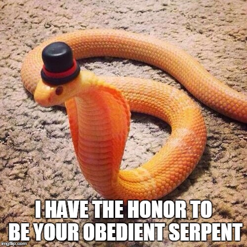 Okay, Who Let The Snake Watch Hamilton. |  I HAVE THE HONOR TO BE YOUR OBEDIENT SERPENT | image tagged in hamilton,aaron burr,your,obedient,serpent,servant | made w/ Imgflip meme maker