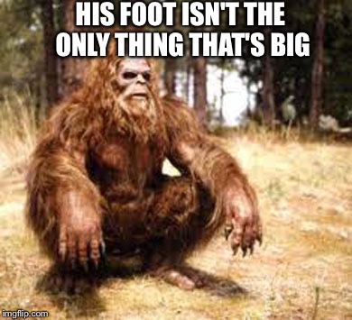 bigfoot | HIS FOOT ISN'T THE ONLY THING THAT'S BIG | image tagged in bigfoot | made w/ Imgflip meme maker