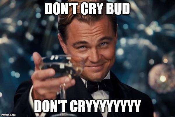 Leonardo Dicaprio Cheers Meme | DON'T CRY BUD DON'T CRYYYYYYYY | image tagged in memes,leonardo dicaprio cheers | made w/ Imgflip meme maker